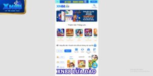 xn88-lua-dao